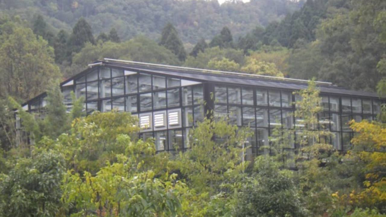 温室写真