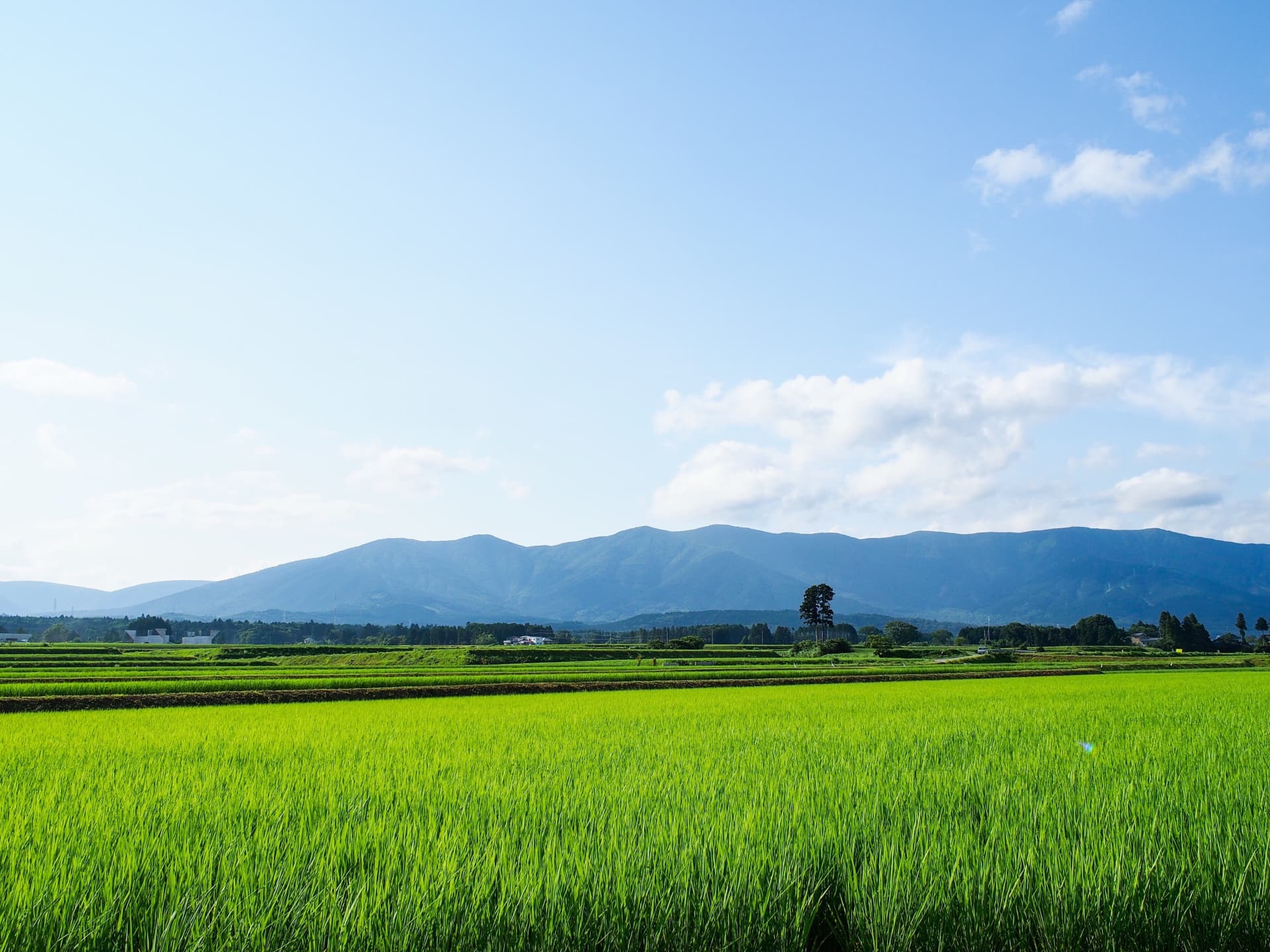 田舎の風景