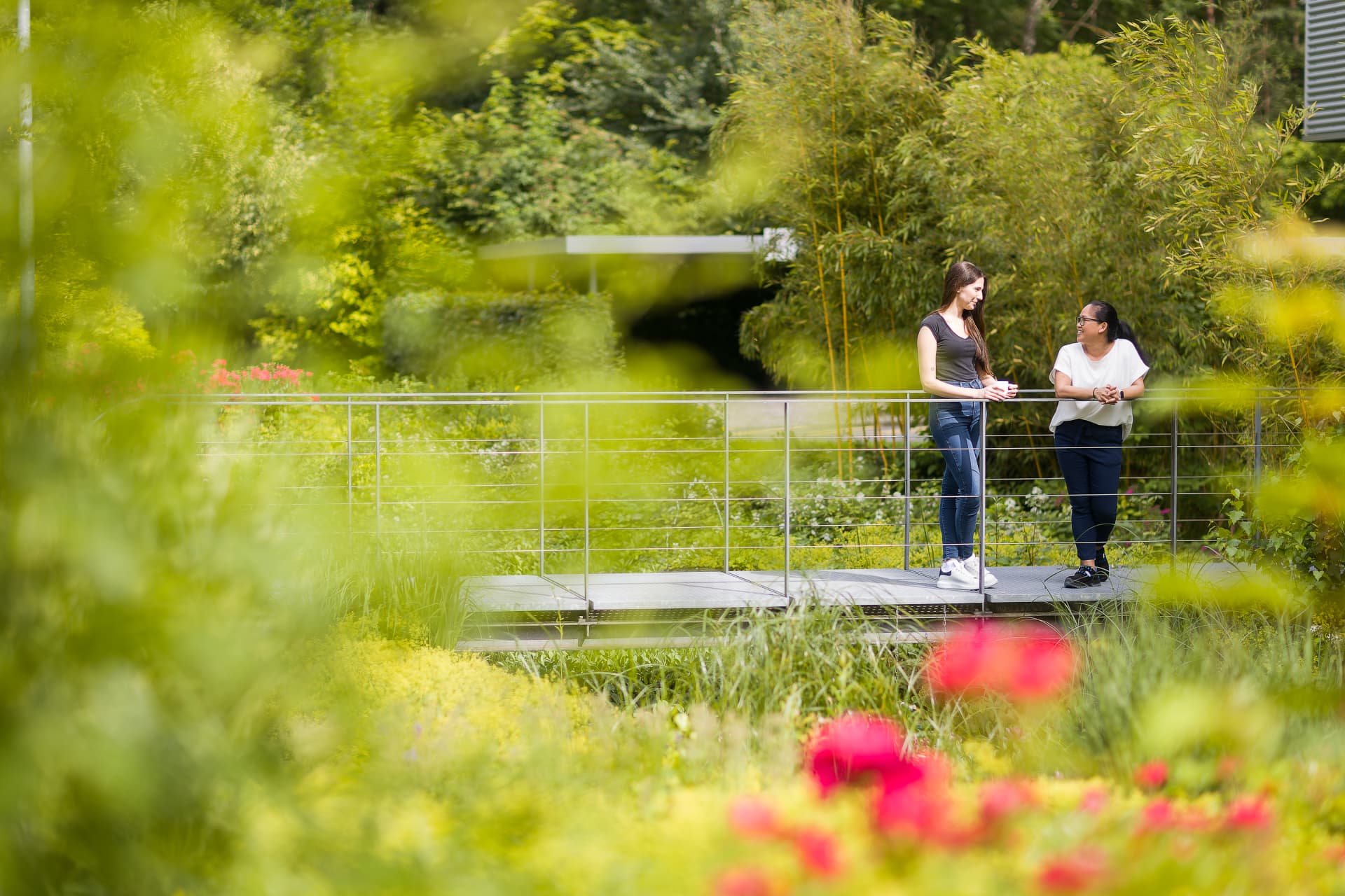 Two people talking on a small bridge surrounded by greenery