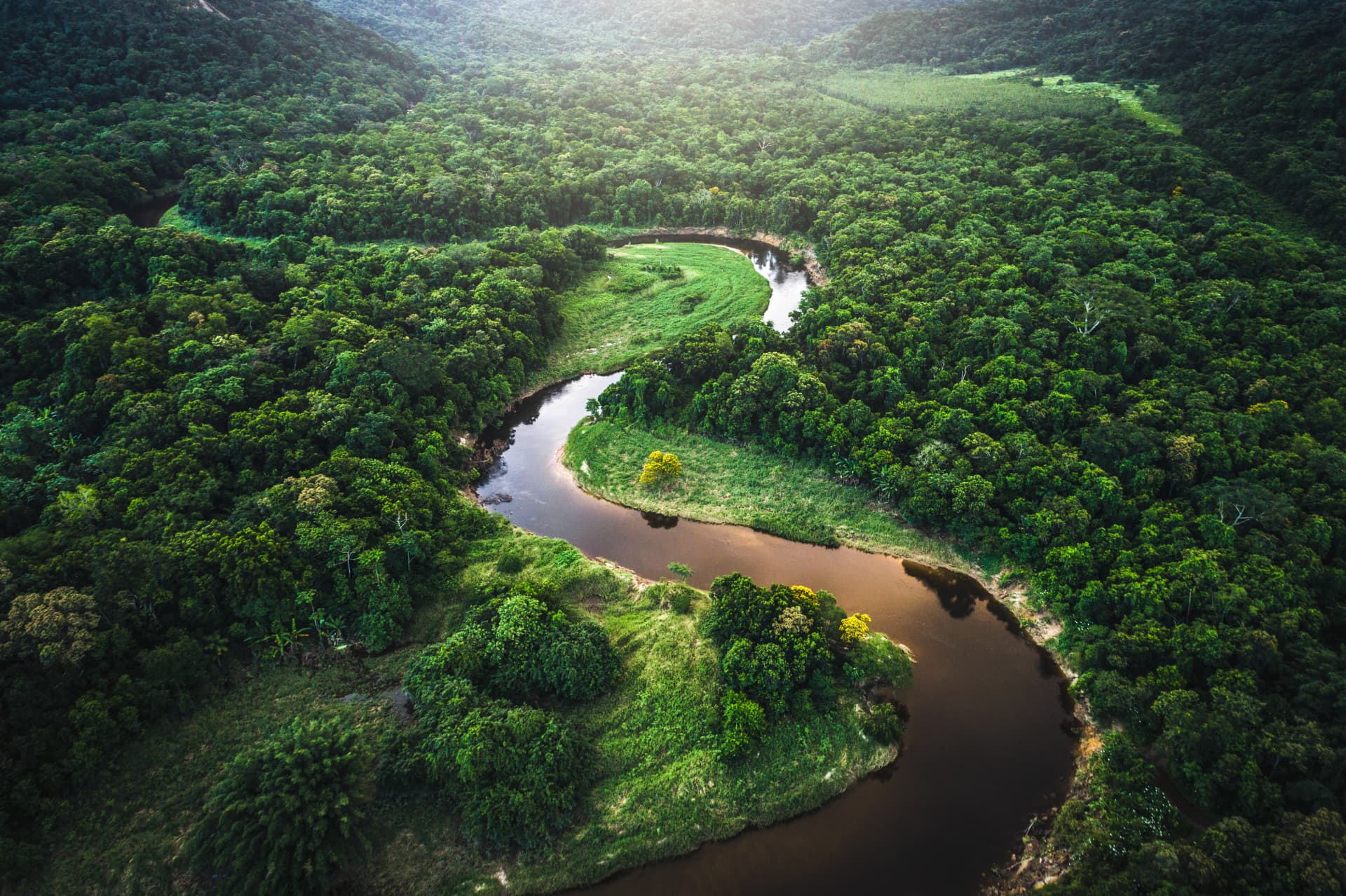 Mountain river and forest