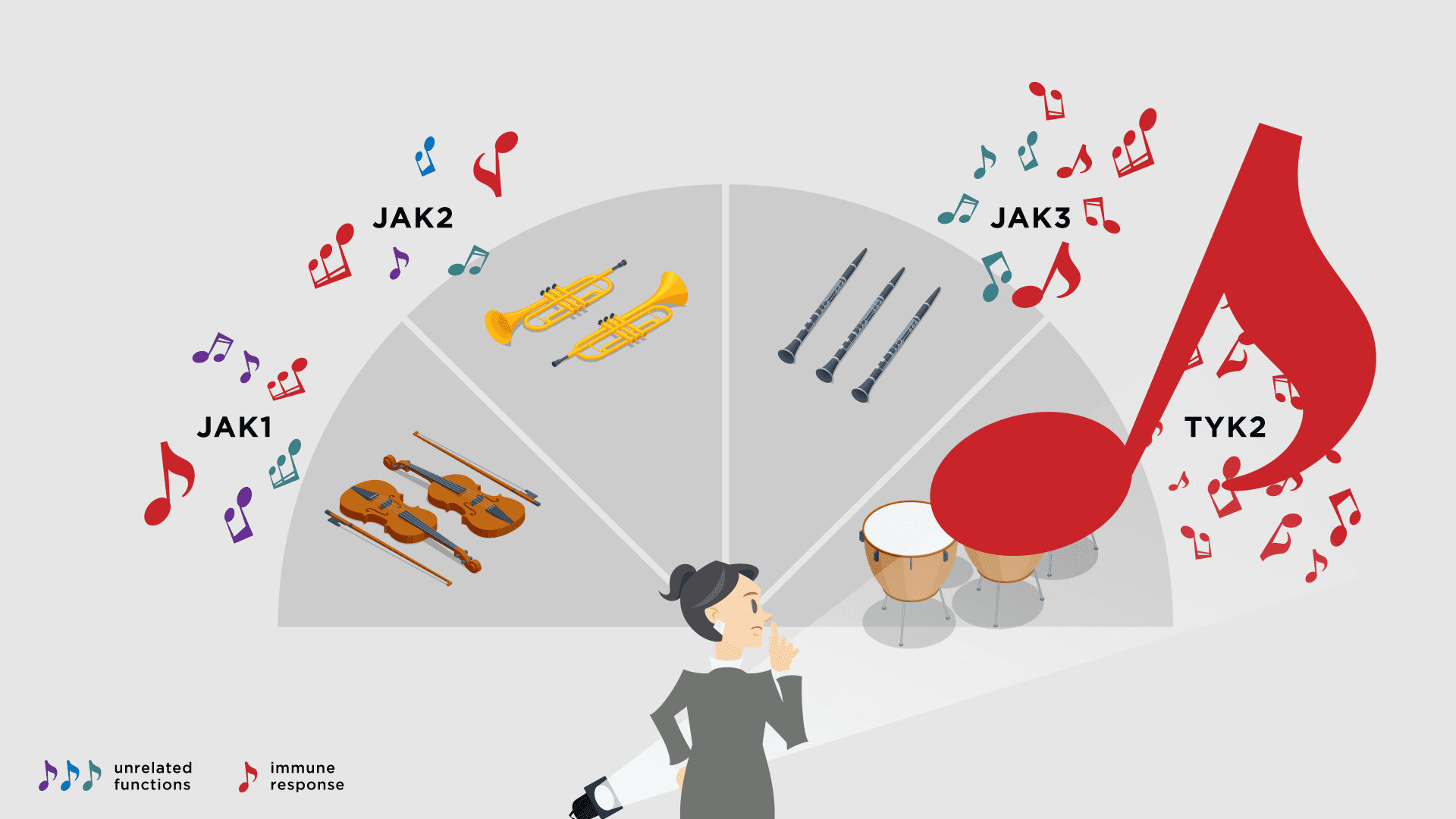 Orchestra instruments