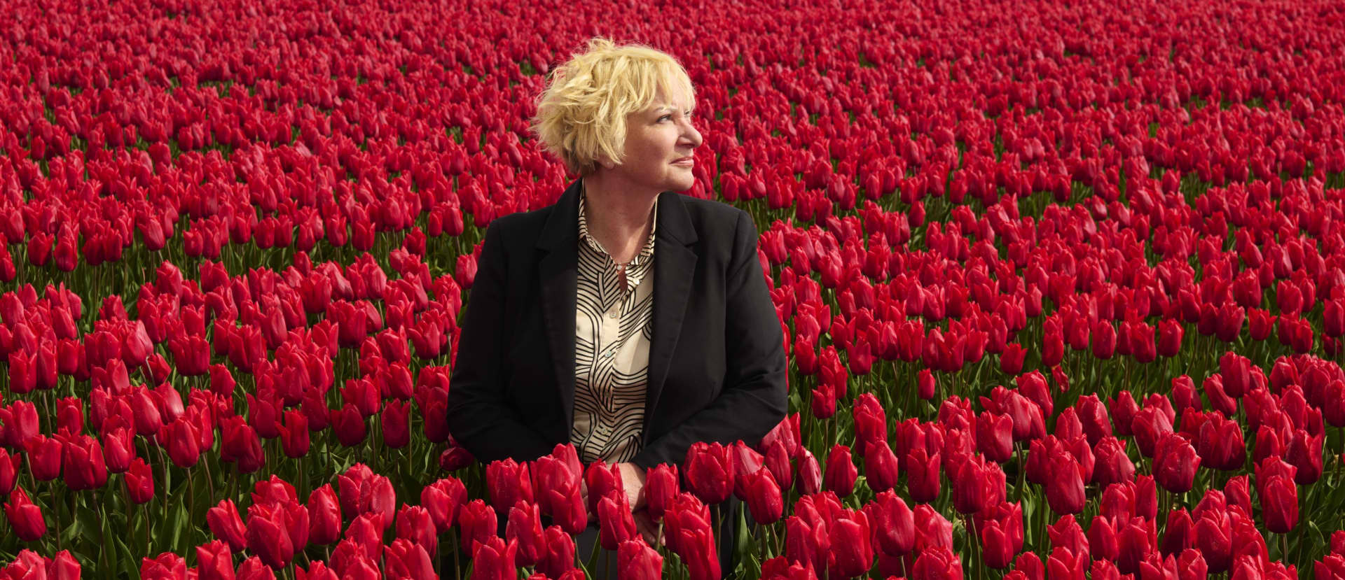 A person in a field of red flowers