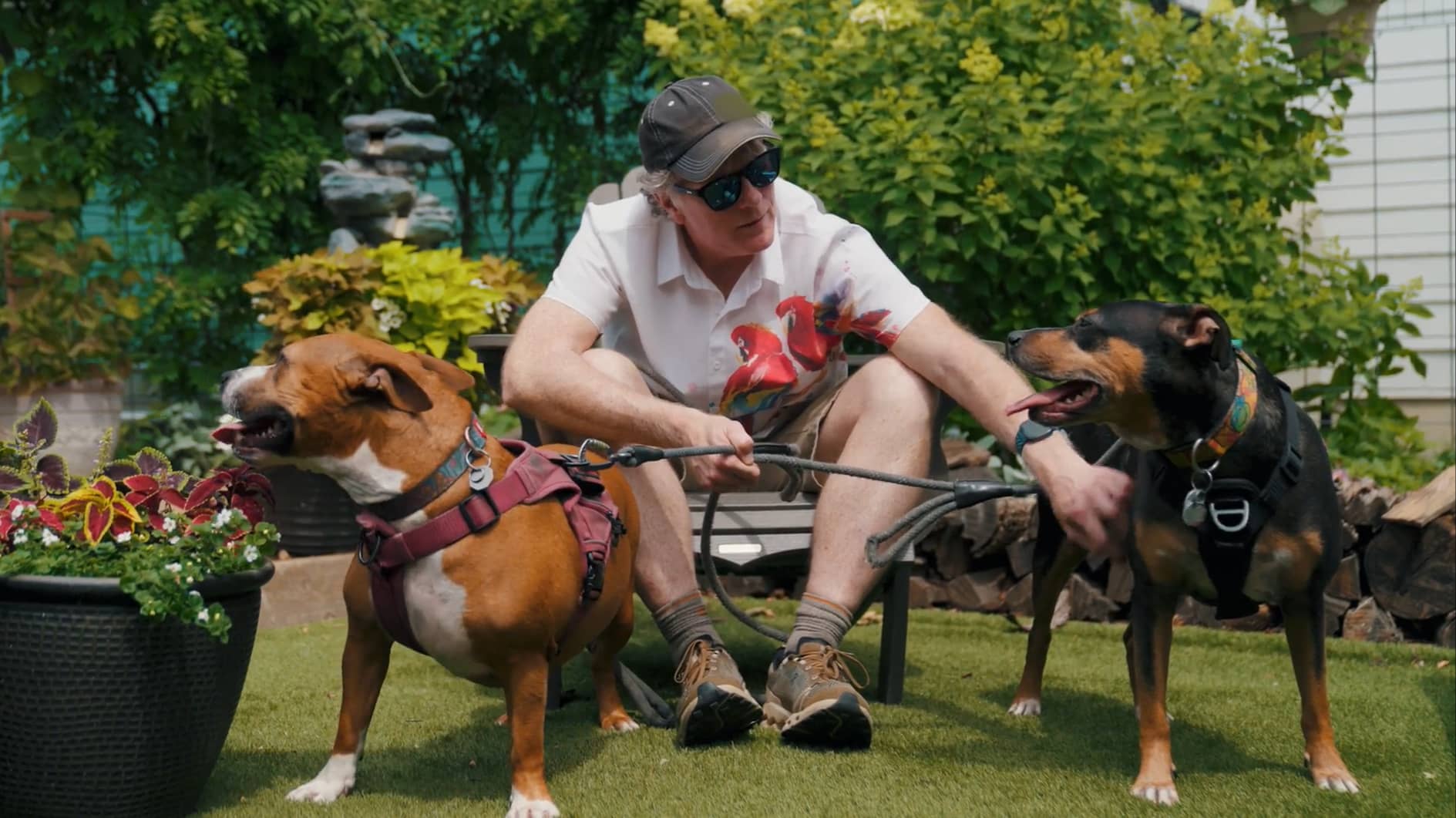 Picture of Matt playing with his dogs