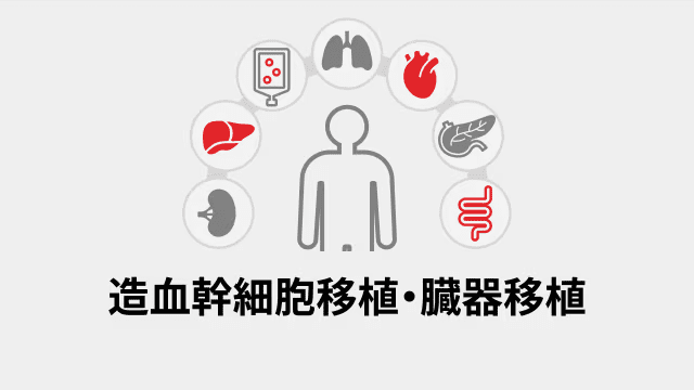 造血幹細胞移植・臓器移植