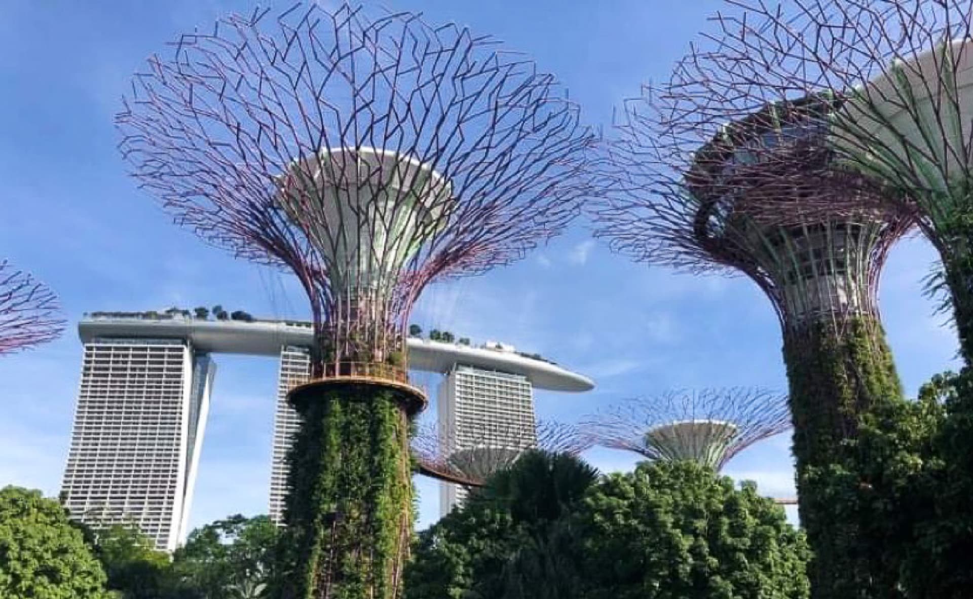 シンガポールの風景