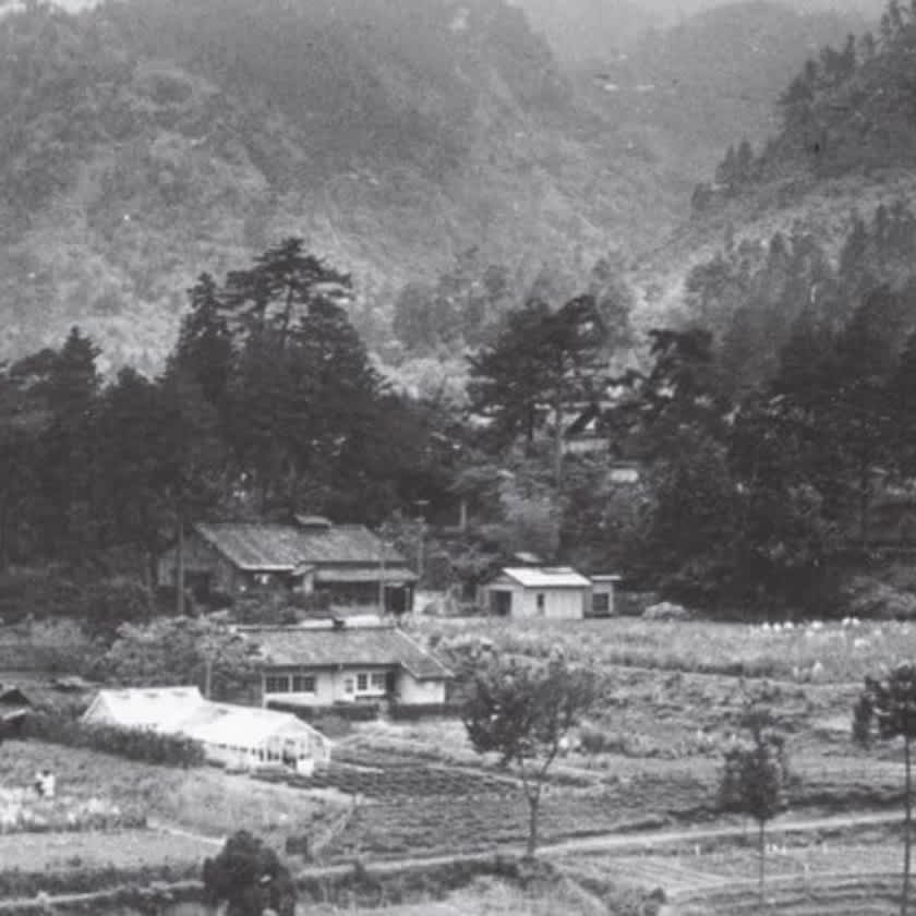 京都武田薬草園として創設