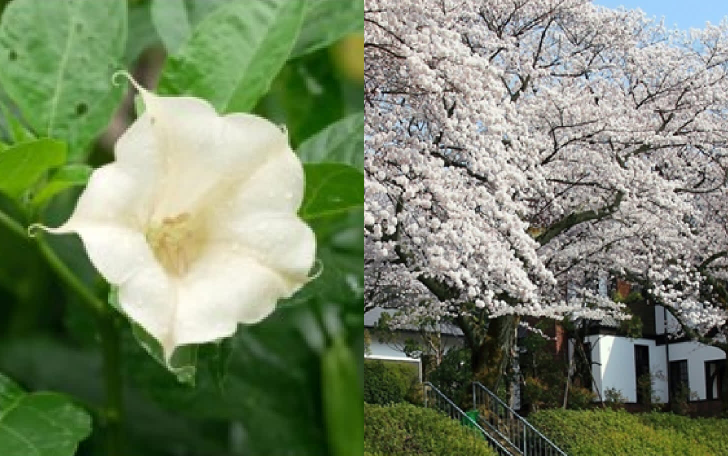 四季