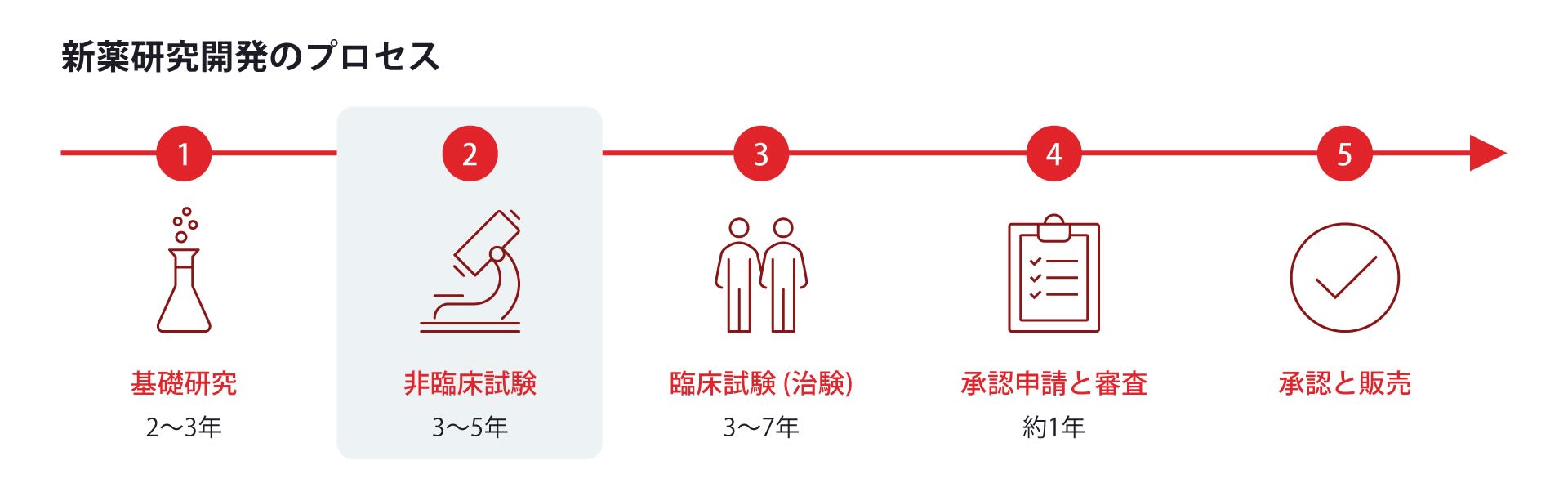 新薬研究開発のプロセス。基礎研究から非臨床試験、臨床試験、承認申請と審査、承認と販売へ進みます。非臨床試験では、培養した細胞などをつかって薬を研究します。