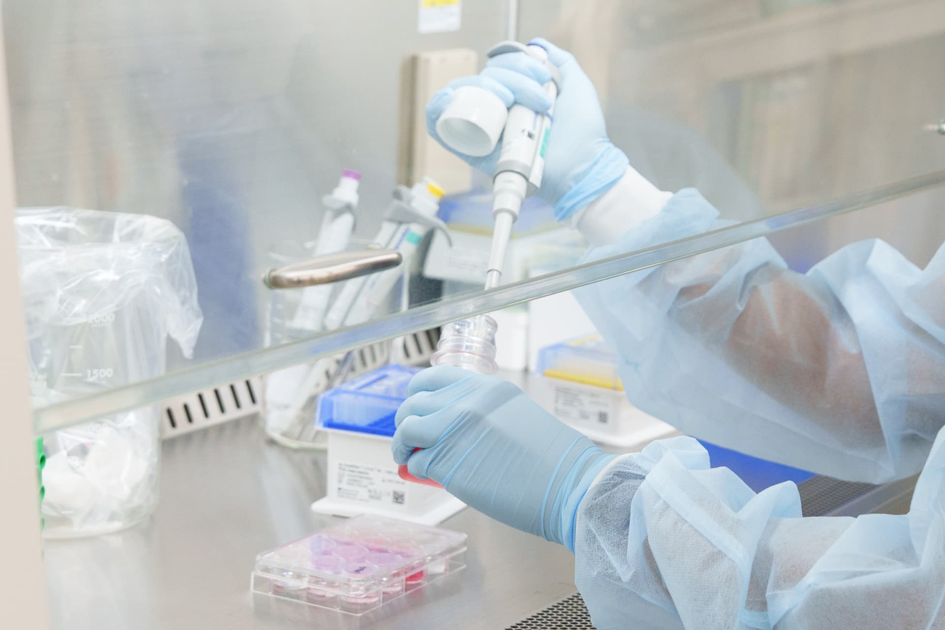 篠澤さんが研究をしている様子。