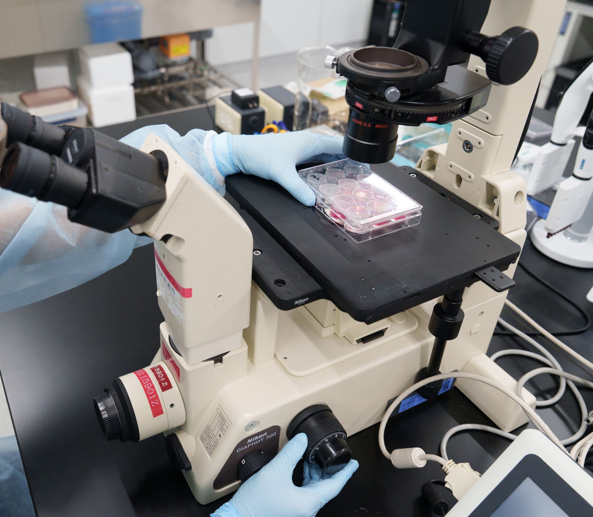 篠澤さんが顕微鏡をのぞいている様子。