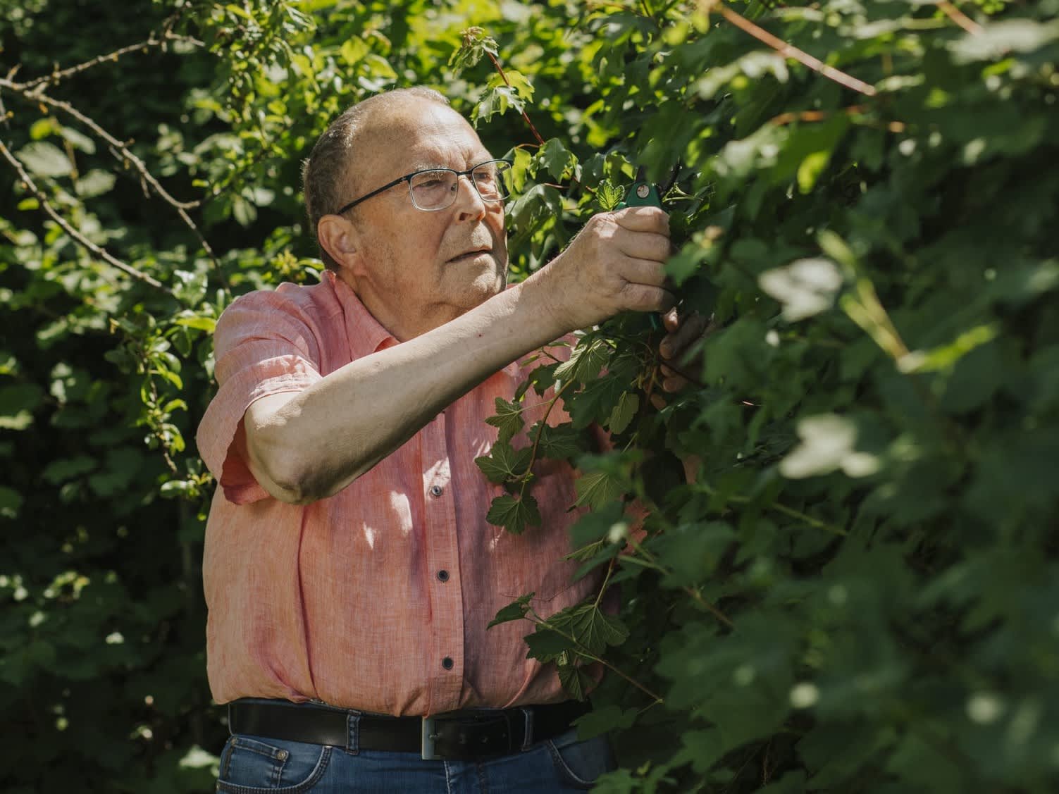 Picture of Klaus-Peter