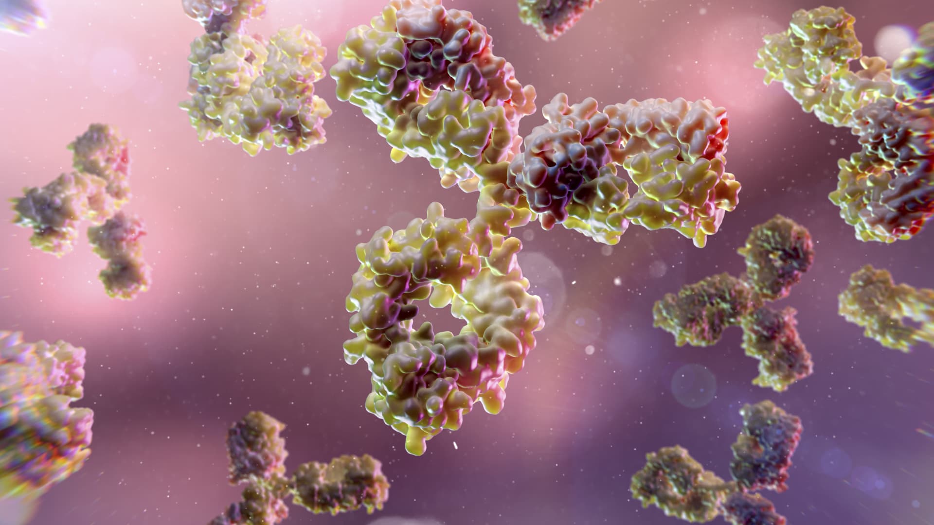 Áreas terapéuticas