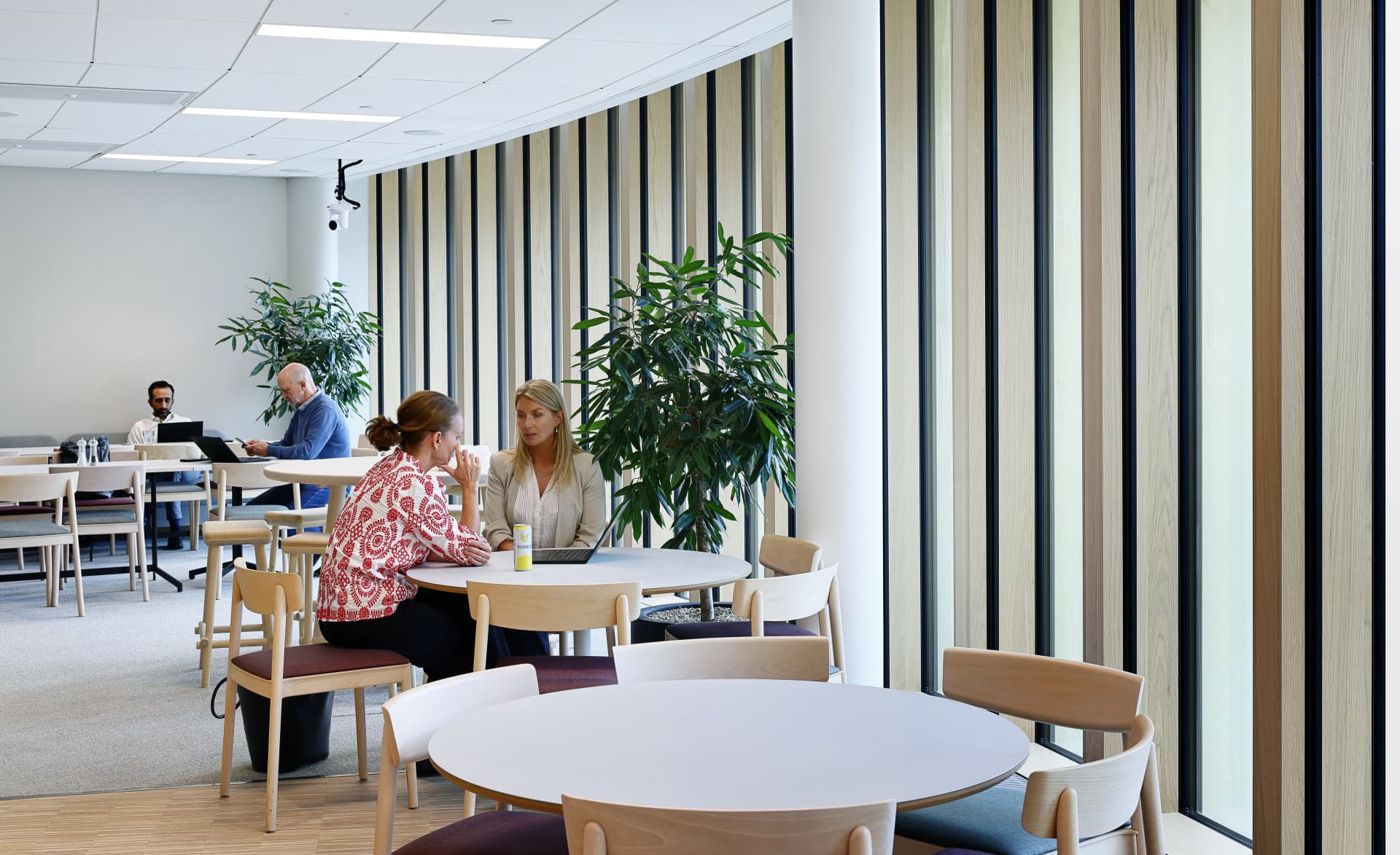 People talking in cafe