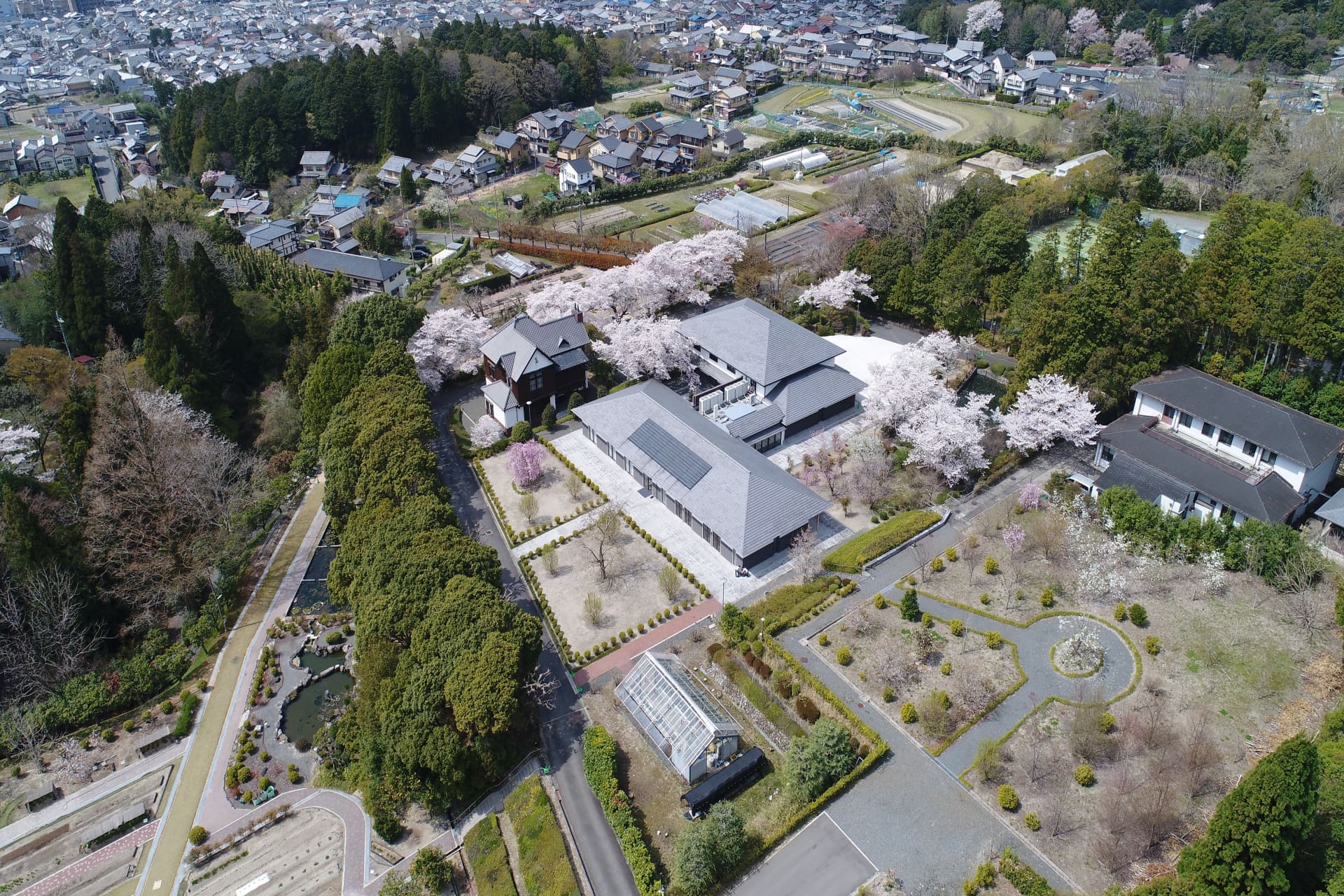 京都薬用植物園（研修棟周辺）
