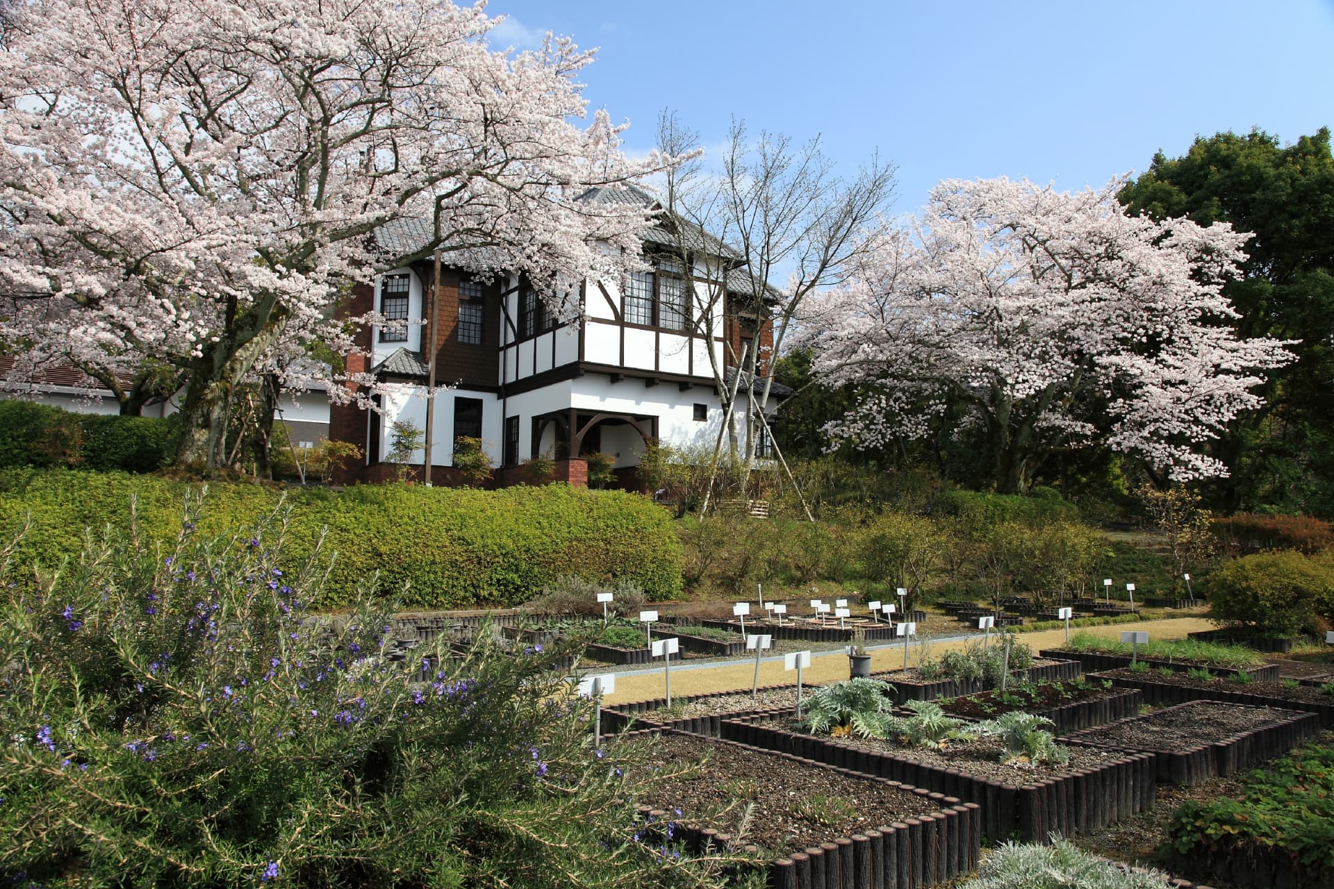 展示棟および香辛料園