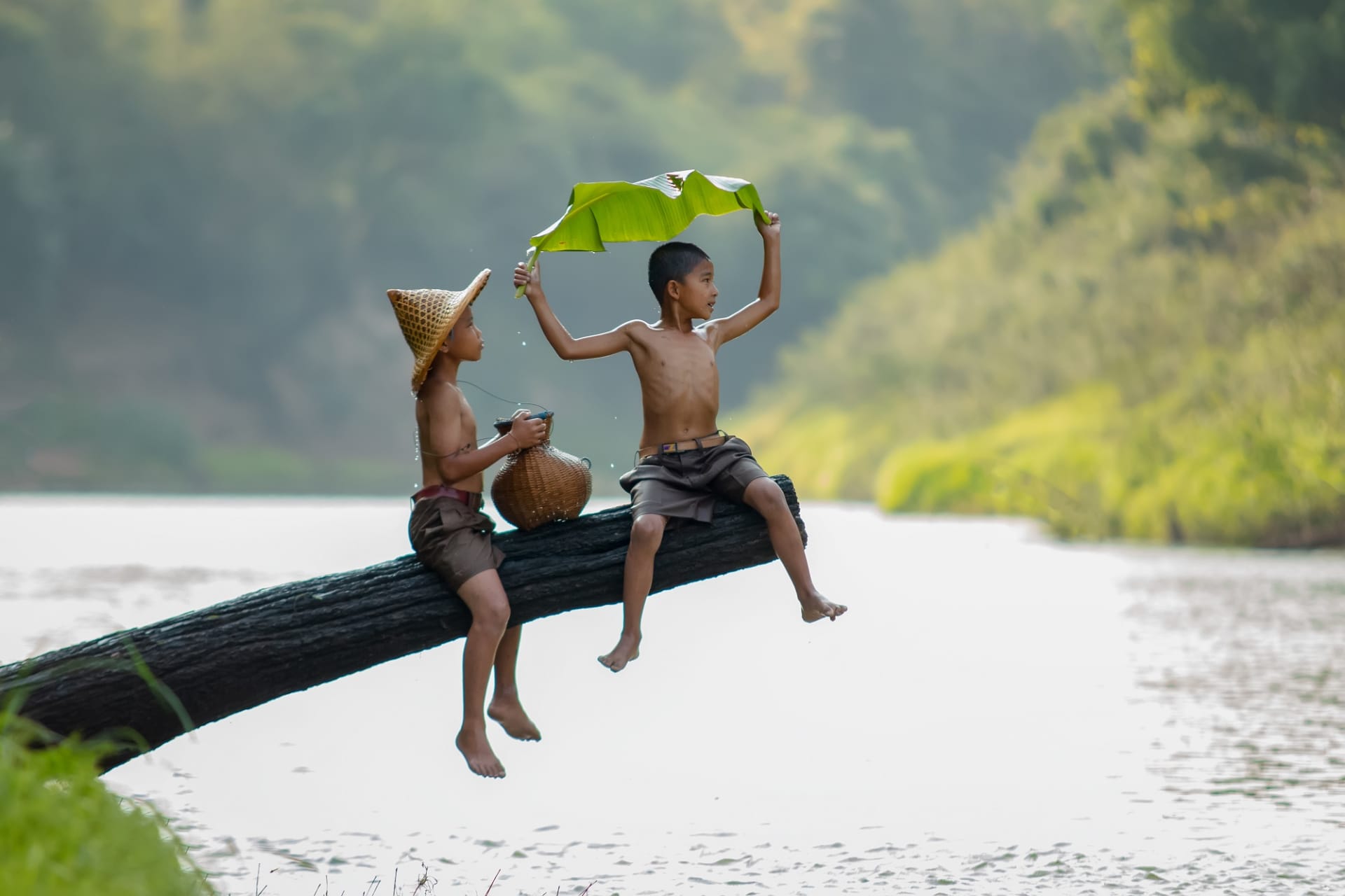 kids on tree trunk