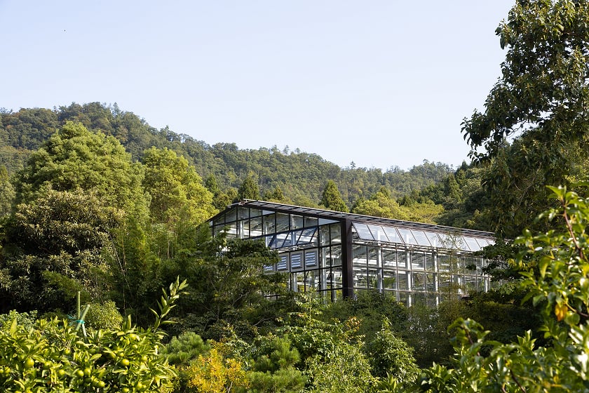 The Takeda Garden for Medicinal Plant Conservation, Kyoto