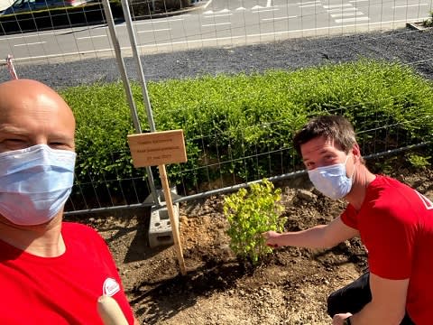 People planting trees