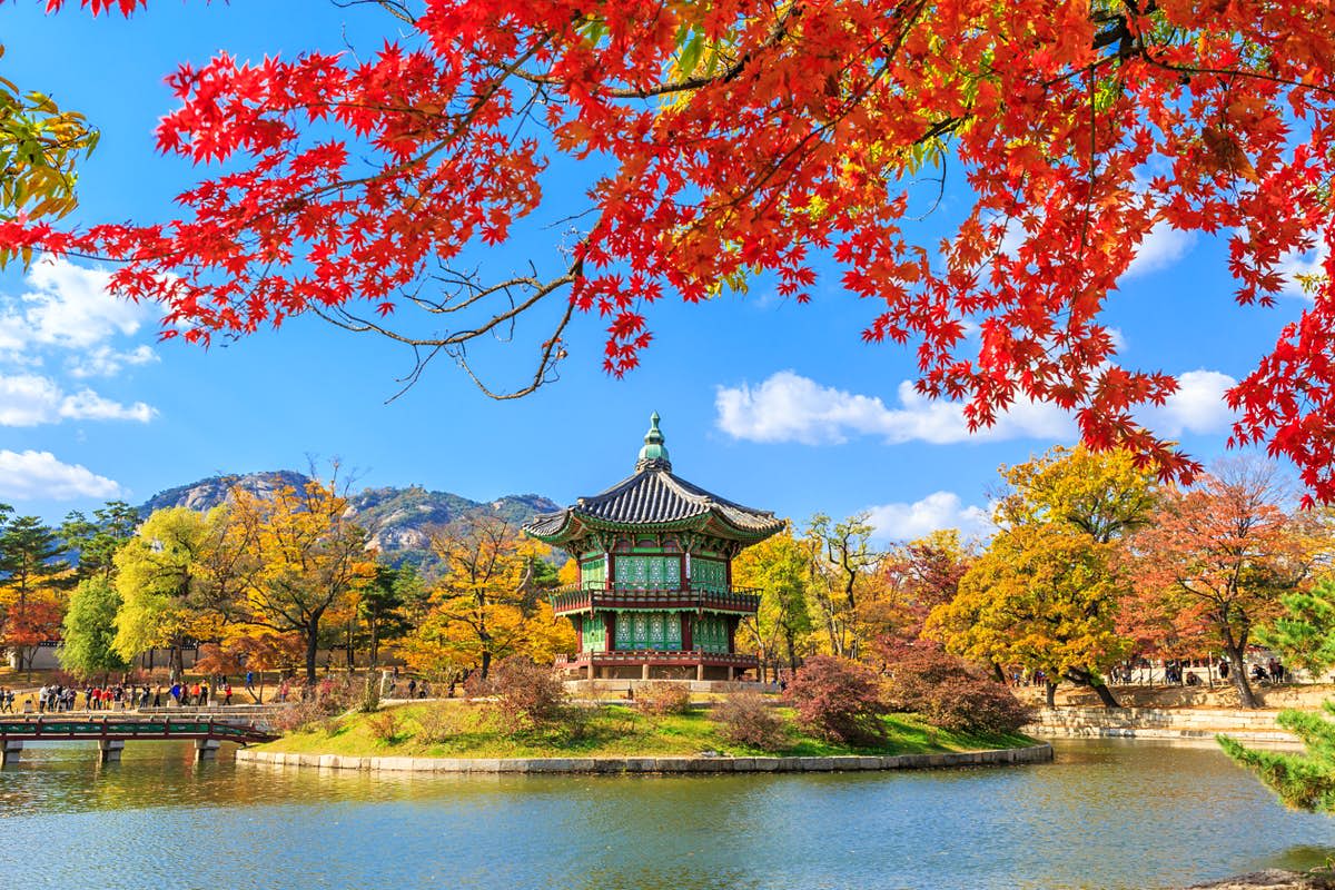 Japanese Article With Image With Taxonomy 4