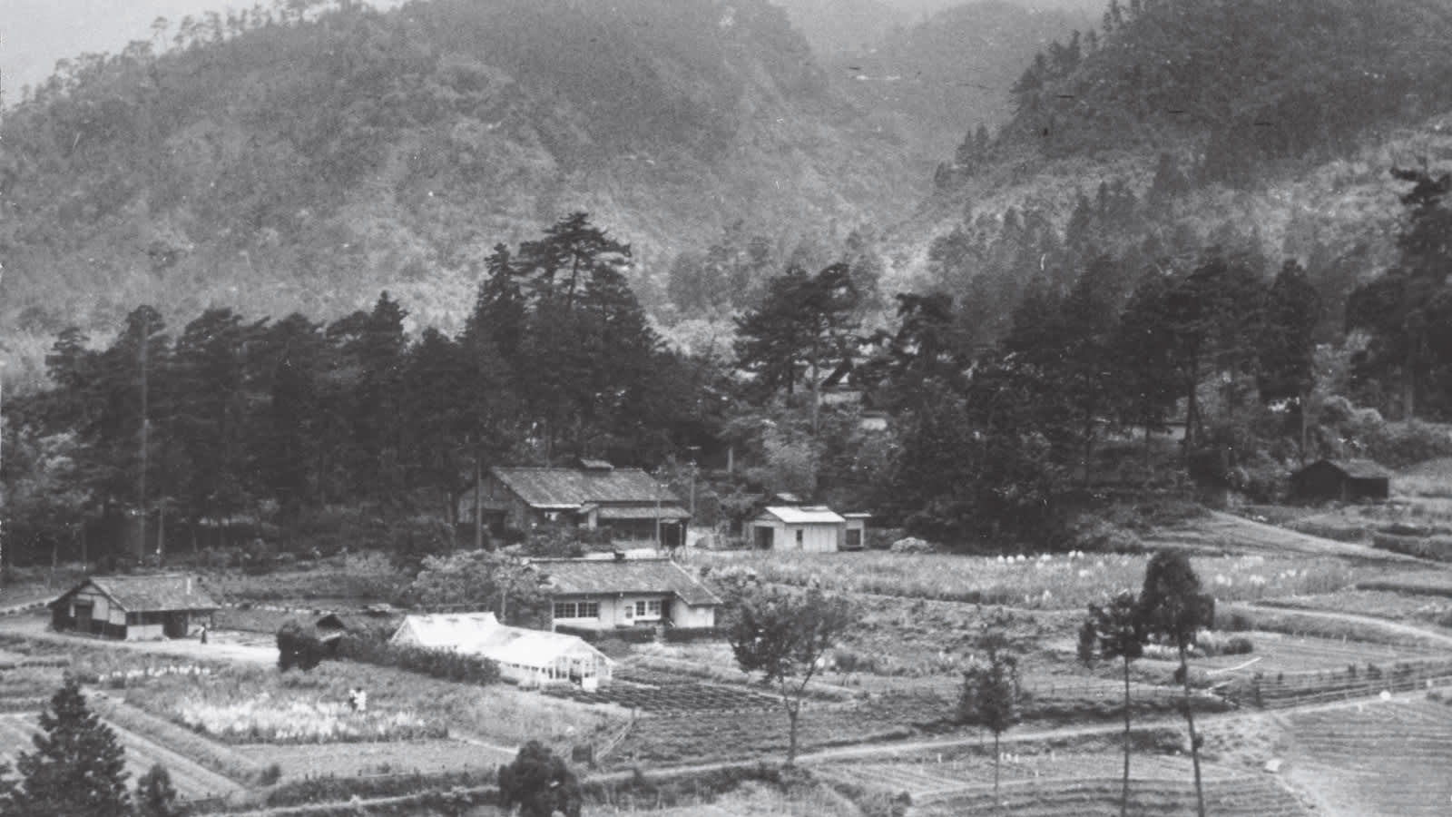 old photo of houses on country side