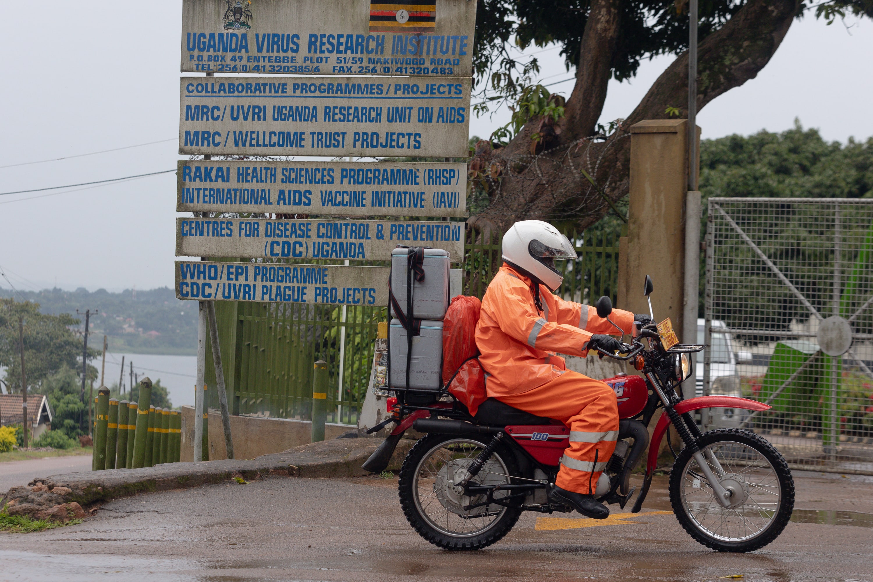 A rider arrives at the Uganda Virus Research Institute laboratory in Entebbe to deliver samples from the environment
