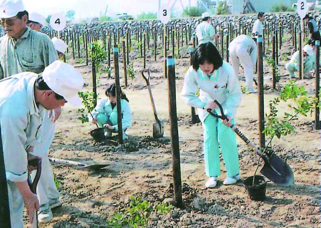 光工場開設50周年　記念式典や植樹を行う