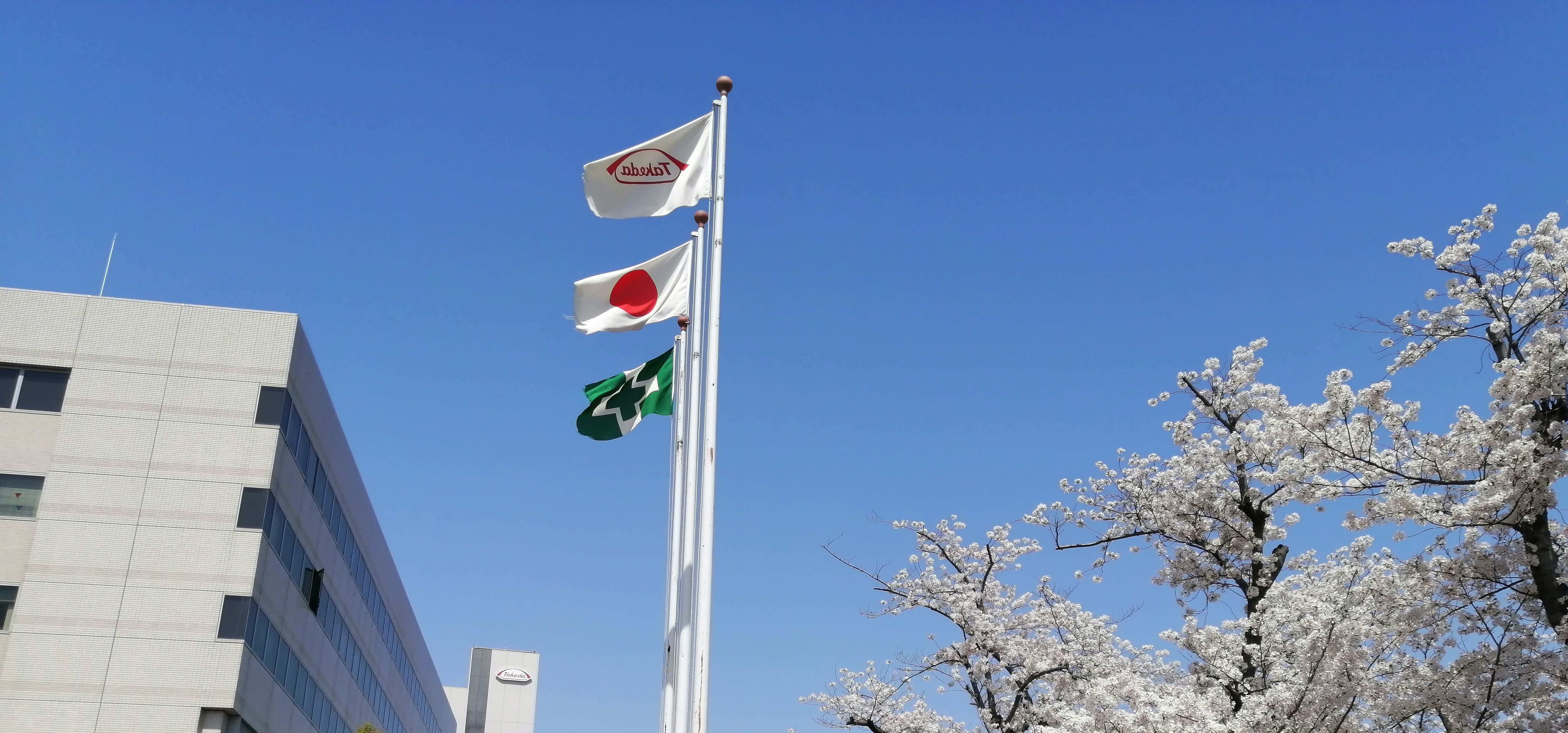 Takeda flag next to Japan flag