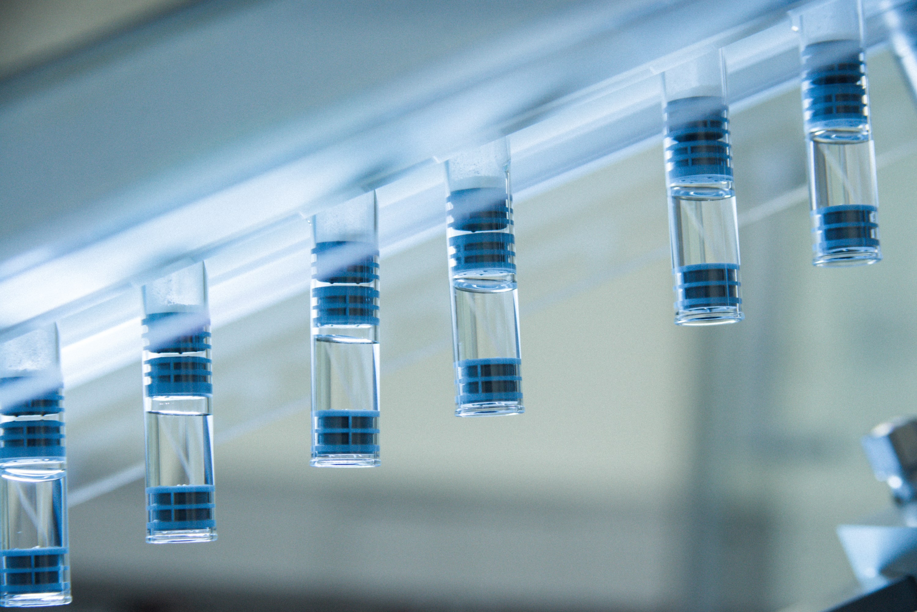 Several test tubes with clear liquid