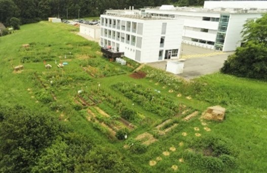 Vegetable garden at Neuchâtel manufacturing site