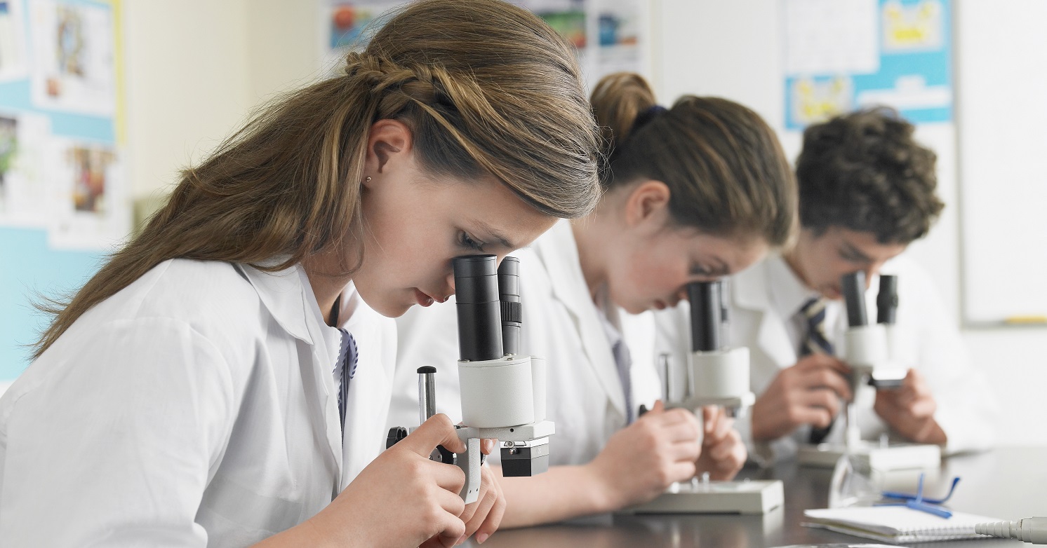 Jugendliche schauen ins Mikroskop