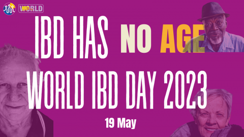 IBD day logo